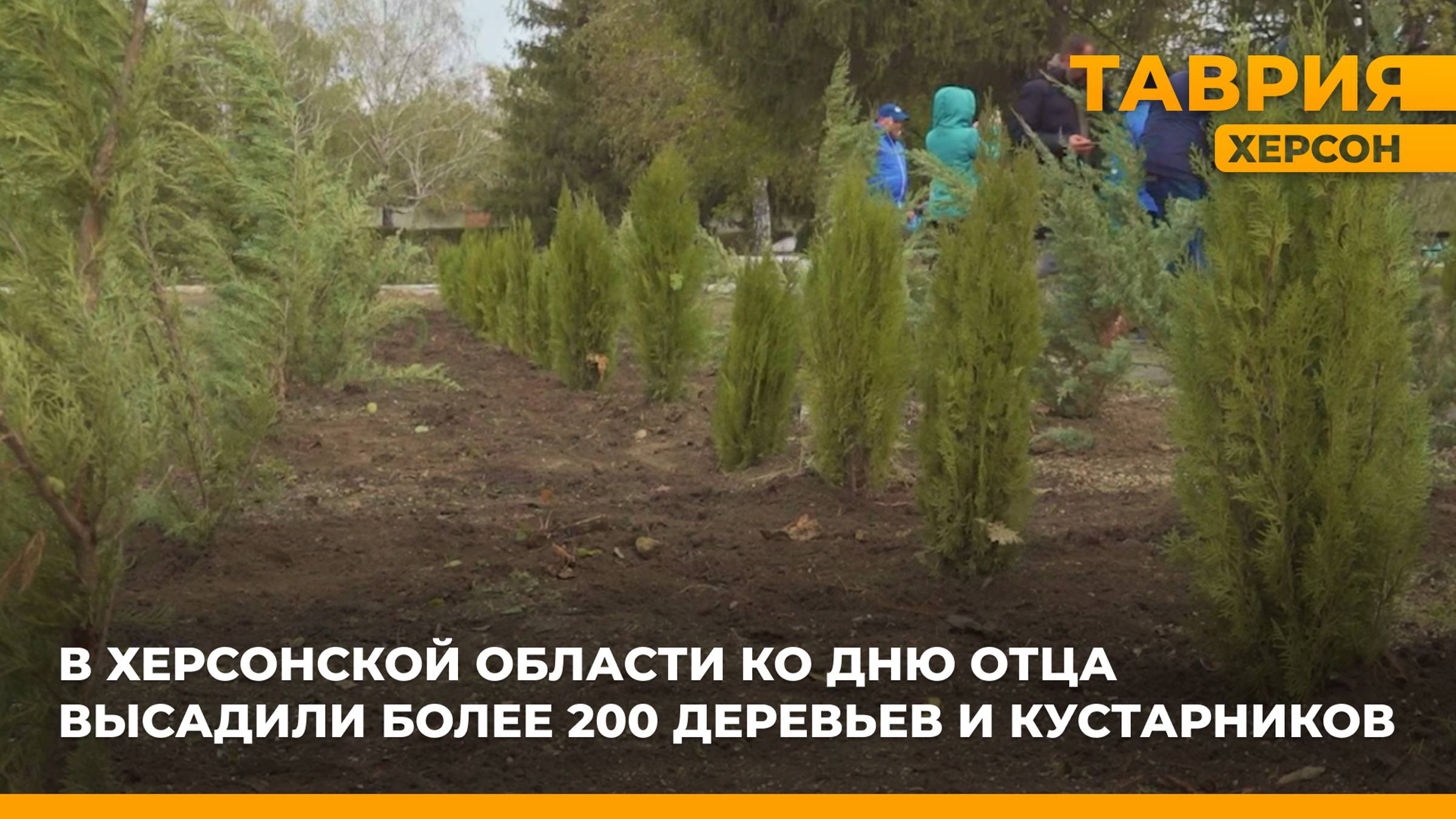 В Херсонской области ко Дню отца высадили более 200 деревьев и кустарников