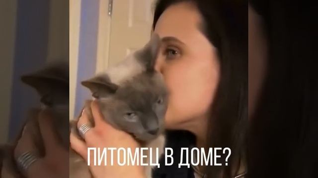 СМЫВАТЕЛЬ - универсальное устройство автоматического смыва для кнопки унитаза