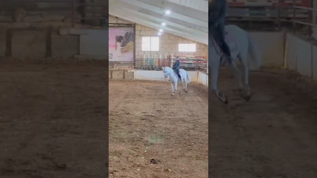 1000256141.mp4
