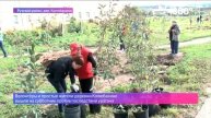 Волонтеры устранили последствия урагана в деревне Колюбакино