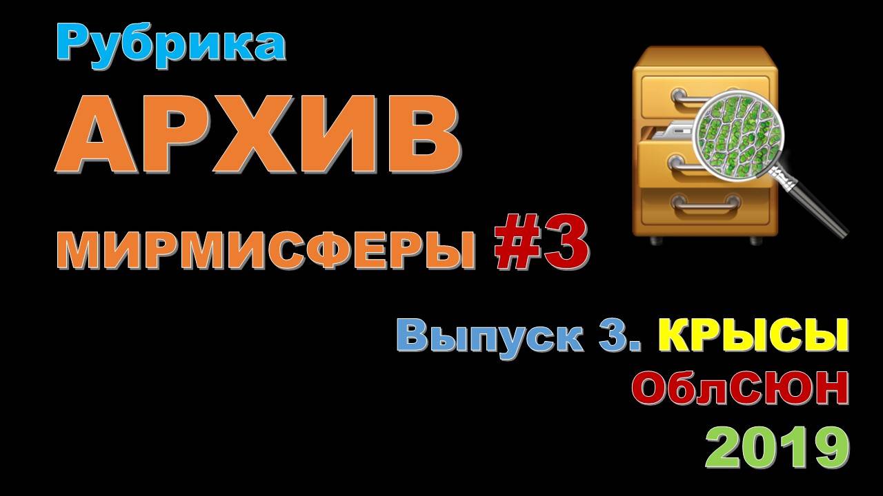 МИРМИСФЕРА. Архив 2019. Выпуск 3. Декоративные крысы