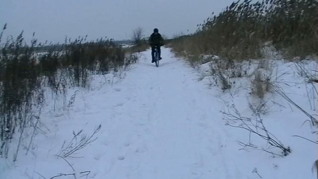 Курган 11 01 14г Зима