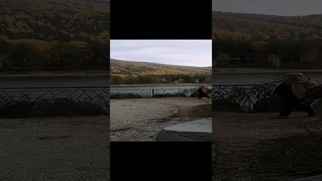 Парк Рериха #алтай #горныйалтай #горы #путешествия #катунь #россия