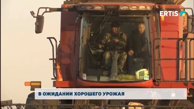 В ожидании хорошего урожая