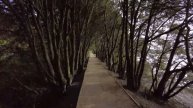 Hyperlapse in Saltram Park | DJI Pocket 2 | 4K