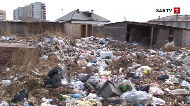 Помойные голуби питаются рядом с детским садом