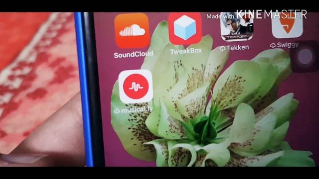 IOS 11.4 beta 1 late review(18:5:9) cinematic view