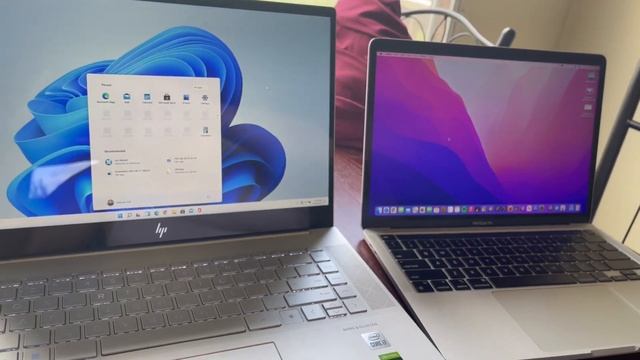 Mac OS Big Sur and Windows 11