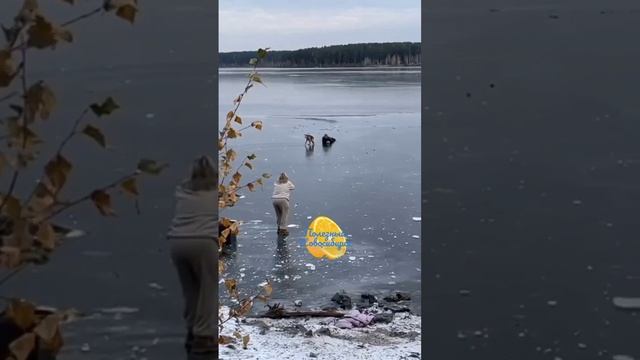 Красноярск. В Железногорске мужчина вытащил из замерзшего озера собаку.