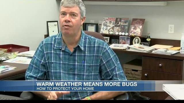 Keeping Bugs Away As Temperatures Warm Up
