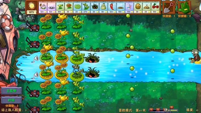 SVID_20241021_092645_1.mp4