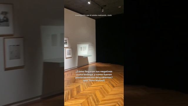 Vivian Maier en el Franz Mayer
