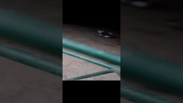 бомбачки хи хи хи