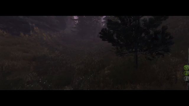 ЗНАКОМСТВО С ЛУЧШИМ СЕРВЕРОМ В DAYZ STALKER RP! LAST HOPE RP | DayZ РП СЕРВЕР