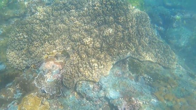 Бали под Водой. Пляж Гамат бэй