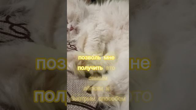 Мои желания исполняются