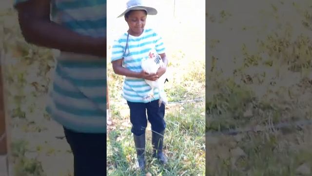 Children learning to interact and take care of farm animals.