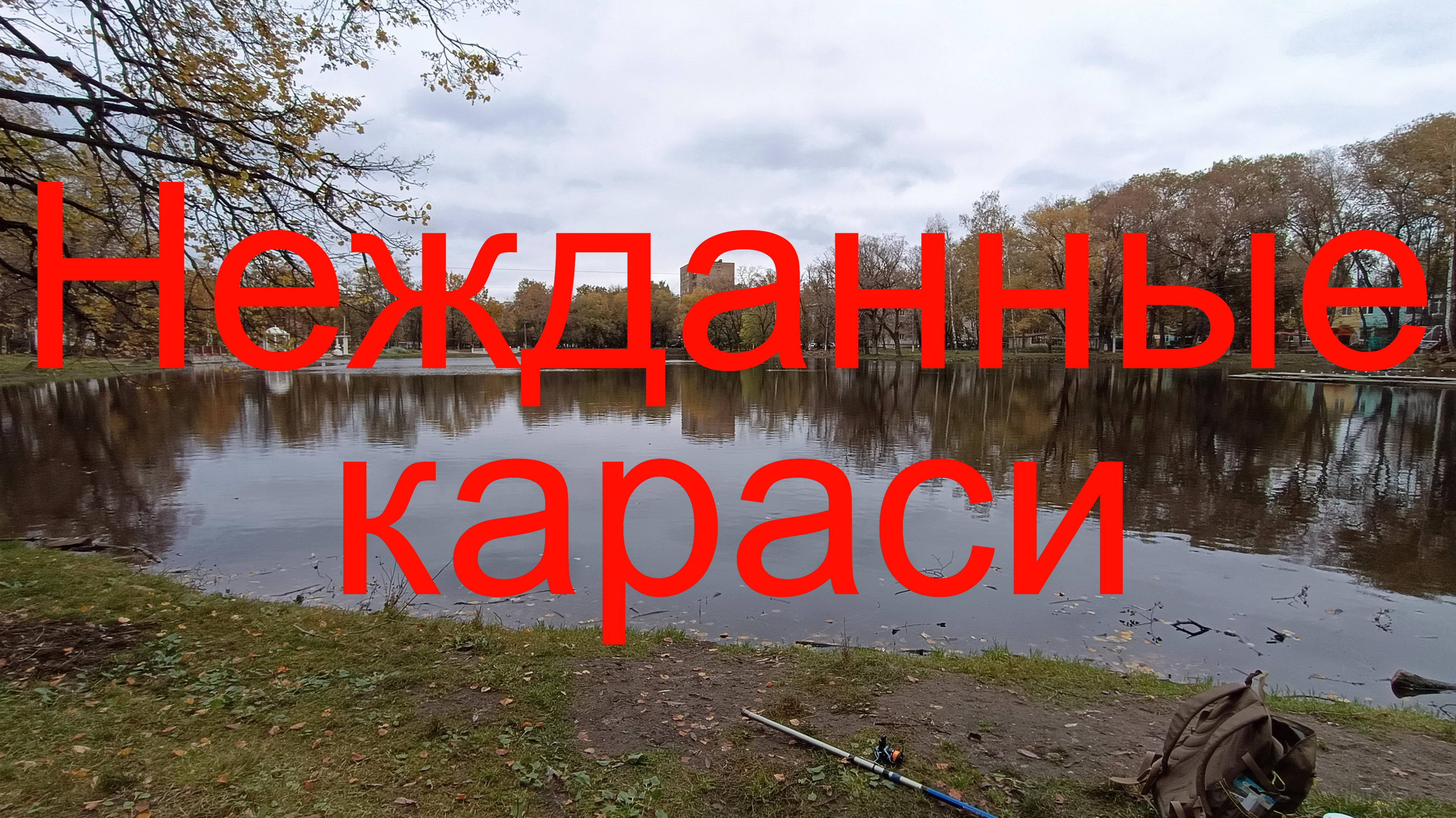 Нежданные караси. г. Раменское. оз. Пионер. 10.10.2024.