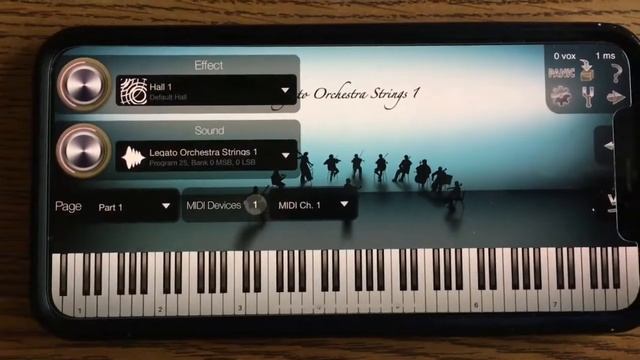 Xs Max audio problem