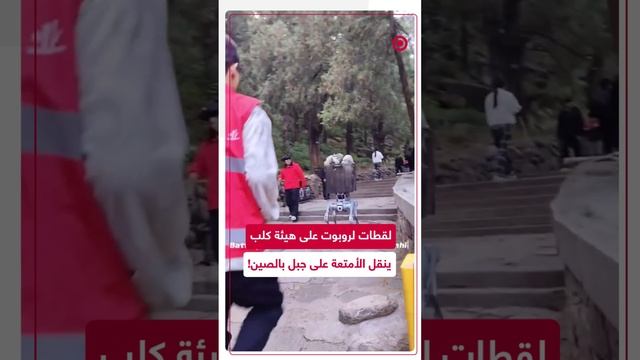 شاهد.. روبوتات تشبه الكلاب تنقل الحقائب على جبل في الصين