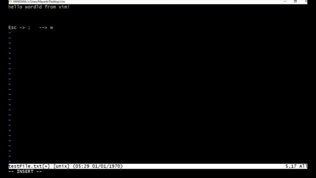 How to enter and exit a vim editor on window and kali Linux in Hindi