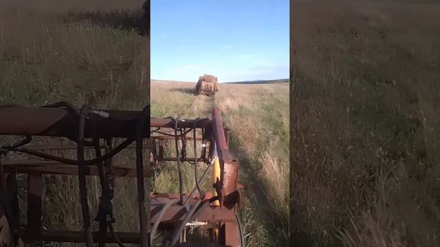 Трактор🚜 Т-16