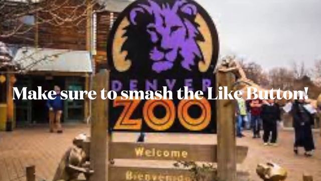 My Intro For Summer 2023