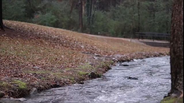 VLOGMAS |  Rain Rain Go Away | MDNIFTYTV