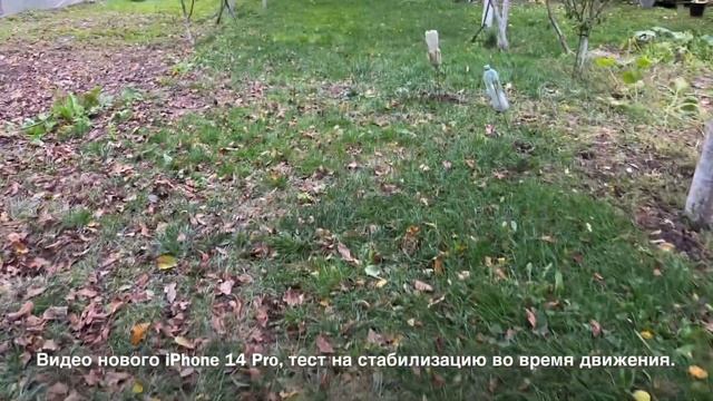 #iPhone 14 Pro -4K/60fps_mini test.
