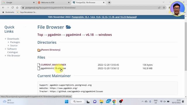 1.2.3 Install PostgreSQL dan PGAdmin 4 (Windows) | Gaji dollar kerja dirumah | Belajar Data Analyst
