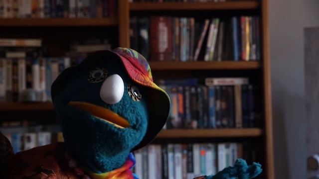 THE PUPPET TREE SHOW: Steve~O Professional Idiot Book Review