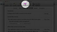 Information on How to Delete or Empty Cache on Firefox : Firefox Browser Tips