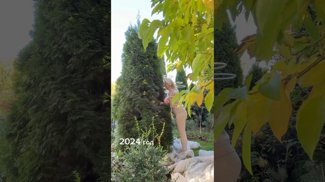 Этой туе 6 лет, смотрите как выросла!