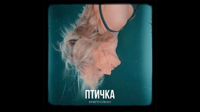 NETOXIC - Птичка