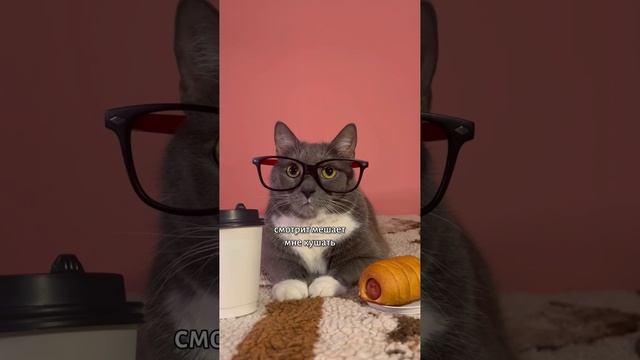 СЛУЧАЙ В КАФЕШКЕ