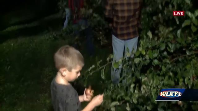 U-Pick apple experience in full swing at Huber's Orchard & Winery