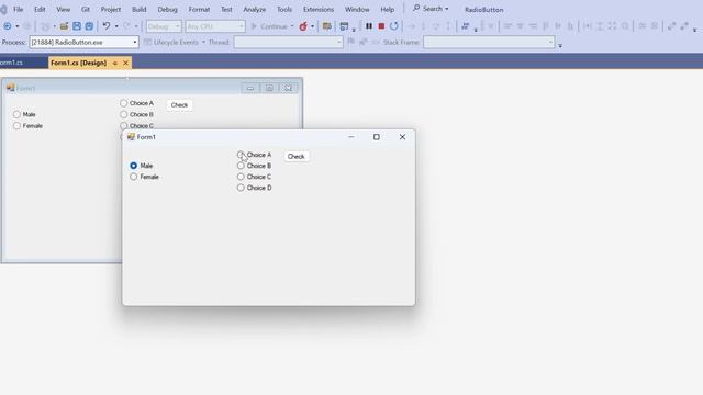 C# WindowsForm: Basic for RadioButton