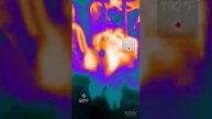 Seek thermal imager 09/16 tamper