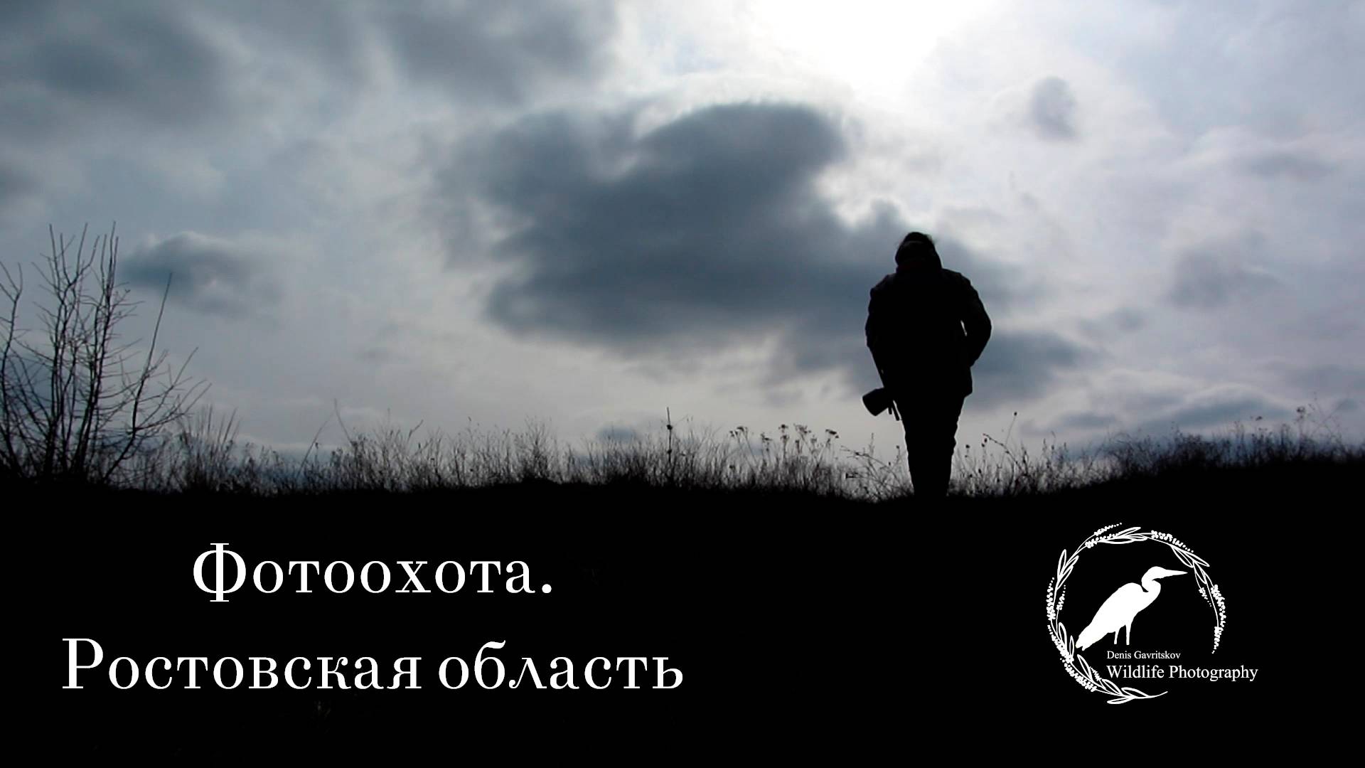 МОРОЗНАЯ РЕКА | Фотоохота в Ростовской области
