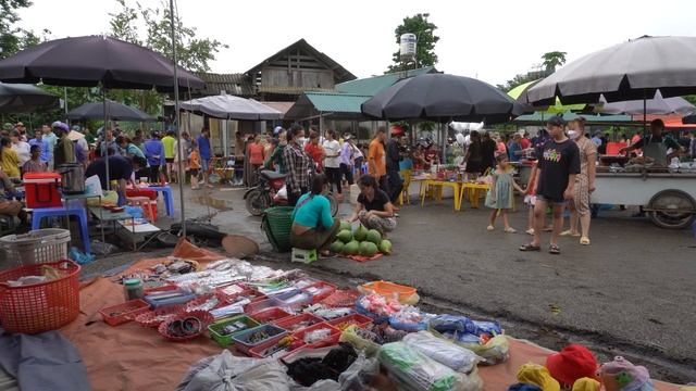 Harvesting GAC Fruit Go to countryside market sell, Grow Vegetable || Phương - Free Bushcraft