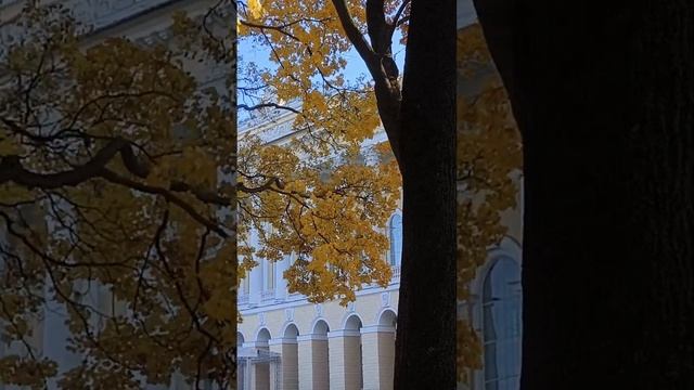Как вам такие натуральные контрасты, заметьте, без фильтров? #nature #tataanriпитер