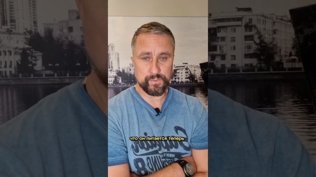 ПОЧЕМУ ВСЕ ВРЕМЯ ГРУСТНО? #максимрыбалко #психология #рекомендации #любовьксебе #мотивация