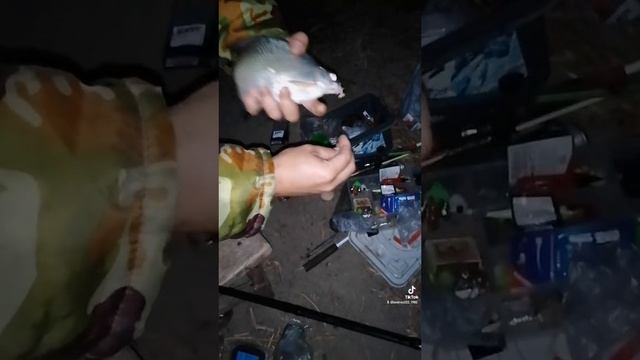 Осень, закрытие рыбалки