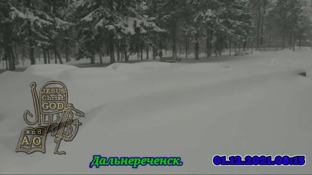 первый зимний день в Дальнереченске.  01.12.2021.