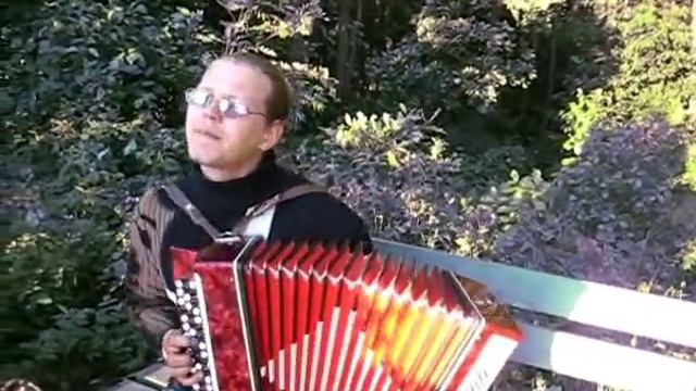 Баянист Мы летим ковыляя