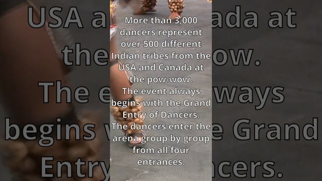 Spotlight 9 Module 1 Culture corner. POW-WOW The Gathering of Nations. (2)
