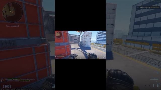 scene_output.mp4