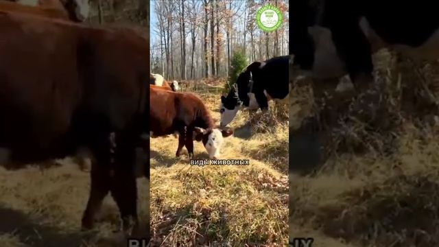 Благотворительность для человека