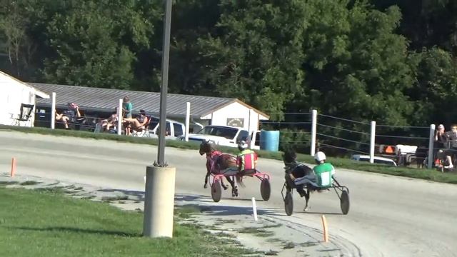 8-6-22 Nappanee Raceway Apple Fritter wins in 1:32