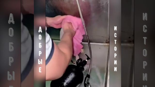 Любовь и забота творят чудеса!